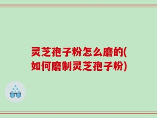 灵芝孢子粉怎么磨的(如何磨制灵芝孢子粉)