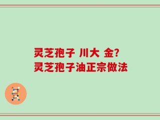 灵芝孢子 川大 金？灵芝孢子油正宗做法
