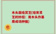 木头栽培灵芝(培育灵芝的妙招：用木头作基质成功种植)