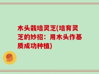 木头栽培灵芝(培育灵芝的妙招：用木头作基质成功种植)