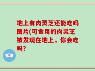 地上有肉灵芝还能吃吗图片(可食用的肉灵芝被发现在地上，你会吃吗？