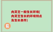 肉灵芝一般生长环境(肉灵芝生长的环境特点及生长条件)