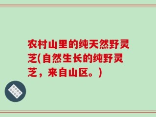 农村山里的纯天然野灵芝(自然生长的纯野灵芝，来自山区。)