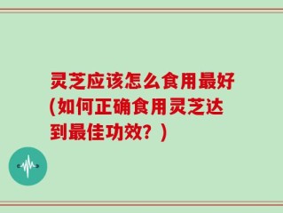 灵芝应该怎么食用最好(如何正确食用灵芝达到最佳功效？)