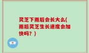 灵芝下雨后会长大么(雨后灵芝生长速度会加快吗？)