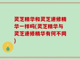 灵芝精华和灵芝速修精华一样吗(灵芝精华与灵芝速修精华有何不同)