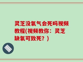 灵芝没氧气会死吗视频教程(视频教你：灵芝缺氧可致死？)