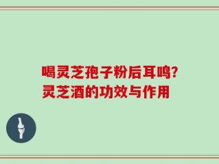 喝灵芝孢子粉后耳鸣？灵芝酒的功效与作用