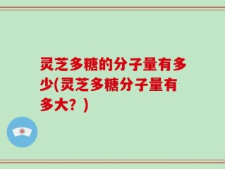 灵芝多糖的分子量有多少(灵芝多糖分子量有多大？)