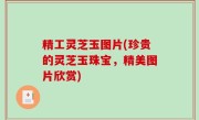 精工灵芝玉图片(珍贵的灵芝玉珠宝，精美图片欣赏)