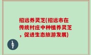 招远养灵芝(招远市在传统村庄中种植养灵芝，促进生态旅游发展)
