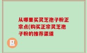 从哪里买灵芝孢子粉正宗点(购买正宗灵芝孢子粉的推荐渠道