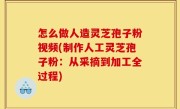 怎么做人造灵芝孢子粉视频(制作人工灵芝孢子粉：从采摘到加工全过程)