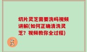 切片灵芝需要洗吗视频讲解(如何正确清洗灵芝？视频教你全过程)