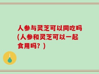 人参与灵芝可以同吃吗(人参和灵芝可以一起食用吗？)