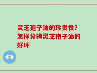 灵芝孢子油的珍贵性？怎样分辨灵芝孢子油的好坏