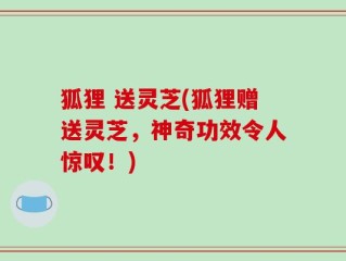 狐狸 送灵芝(狐狸赠送灵芝，神奇功效令人惊叹！)