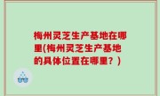 梅州灵芝生产基地在哪里(梅州灵芝生产基地的具体位置在哪里？)