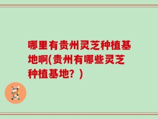 哪里有贵州灵芝种植基地啊(贵州有哪些灵芝种植基地？)