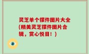 灵芝单个摆件图片大全(精美灵芝摆件图片合辑，赏心悦目！)