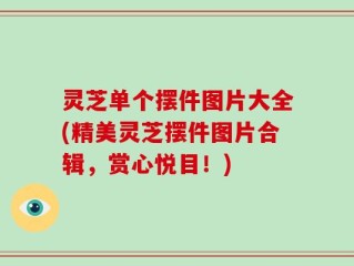 灵芝单个摆件图片大全(精美灵芝摆件图片合辑，赏心悦目！)