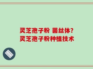 灵芝孢子粉 菌丝体？灵芝孢子粉种植技术
