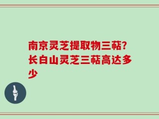 南京灵芝提取物三萜？长白山灵芝三萜高达多少