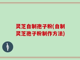 灵芝自制孢子粉(自制灵芝孢子粉制作方法)