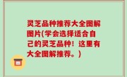 灵芝品种推荐大全图解图片(学会选择适合自己的灵芝品种！这里有大全图解推荐。)