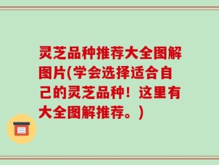 灵芝品种推荐大全图解图片(学会选择适合自己的灵芝品种！这里有大全图解推荐。)