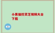 小黑猫挖灵芝视频大全下载