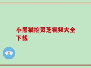 小黑猫挖灵芝视频大全下载