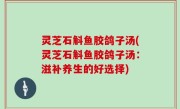 灵芝石斛鱼胶鸽子汤(灵芝石斛鱼胶鸽子汤：滋补养生的好选择)