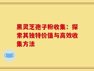 黑灵芝孢子粉收集：探索其独特价值与高效收集方法