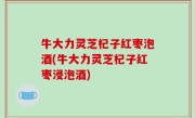 牛大力灵芝杞子红枣泡酒(牛大力灵芝杞子红枣浸泡酒)