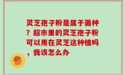 灵芝孢子粉是属于菌种？超市里的灵芝孢子粉可以用在灵芝这种植吗，我该怎么办