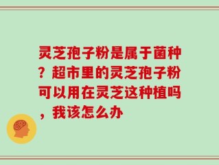 灵芝孢子粉是属于菌种？超市里的灵芝孢子粉可以用在灵芝这种植吗，我该怎么办