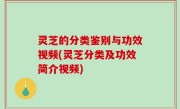灵芝的分类鉴别与功效视频(灵芝分类及功效简介视频)