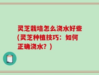 灵芝栽培怎么浇水好些(灵芝种植技巧：如何正确浇水？)