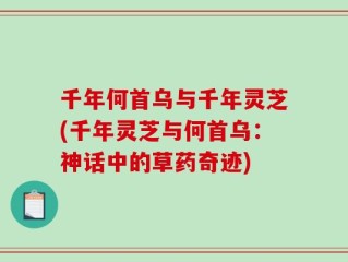 千年何首乌与千年灵芝(千年灵芝与何首乌：神话中的草药奇迹)