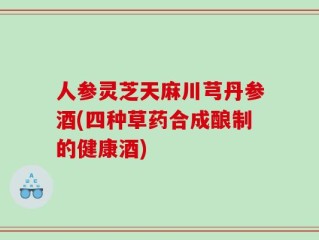 人参灵芝天麻川芎丹参酒(四种草药合成酿制的健康酒)