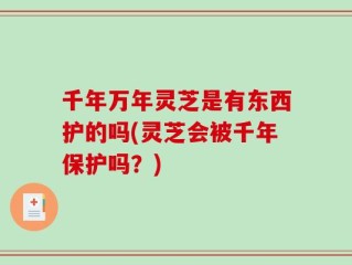 千年万年灵芝是有东西护的吗(灵芝会被千年保护吗？)