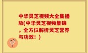 中华灵芝视频大全集播放(中华灵芝视频集锦，全方位解析灵芝营养与功效！)