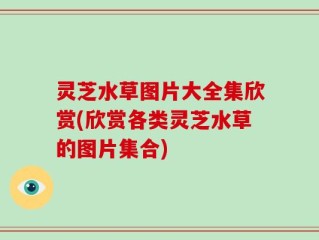 灵芝水草图片大全集欣赏(欣赏各类灵芝水草的图片集合)
