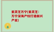 紫灵芝万宁(紫灵芝：万宁深海产权打造新兴产业)