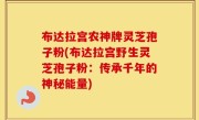 布达拉宫农神牌灵芝孢子粉(布达拉宫野生灵芝孢子粉：传承千年的神秘能量)