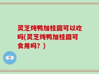 灵芝炖鸭加桂圆可以吃吗(灵芝炖鸭加桂圆可食用吗？)
