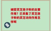 破壁灵芝孢子粉的主要作用？已采集了灵芝孢子粉的灵芝功效作用怎样呢