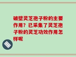 破壁灵芝孢子粉的主要作用？已采集了灵芝孢子粉的灵芝功效作用怎样呢