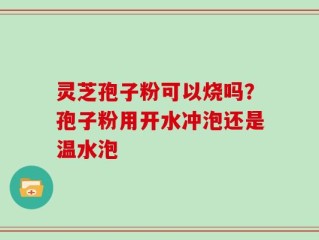 灵芝孢子粉可以烧吗？孢子粉用开水冲泡还是温水泡